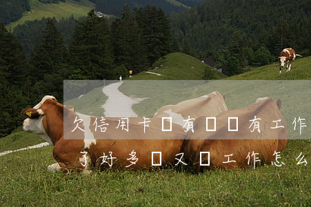 欠信用卡沒有錢沒有工作怎么辦-欠信用卡了好多錢又沒工作怎么辦