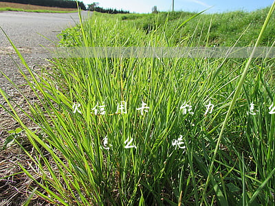 欠信用卡沒能力還怎么辦-欠信用卡沒能力還怎么辦呢
