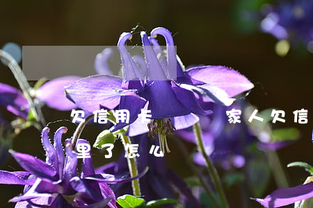 欠信用卡沒臉見家人 欠信用卡銀行的人去家里了怎么辦