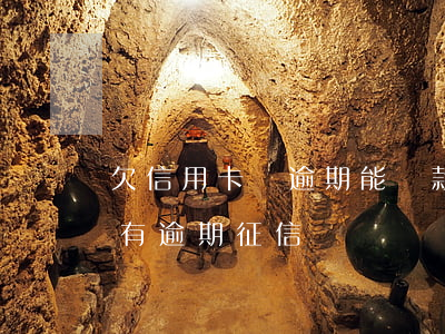 欠信用卡沒逾期能貸款嗎(信用卡有欠款但沒有逾期征信)