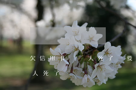 欠信用卡沒還人死了還要還嗎（欠信用卡沒還人死了）