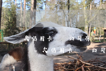 欠信用卡沒還公司有權(quán)力辭退嗎-欠信用卡沒還公司有權(quán)力辭退嗎怎么辦