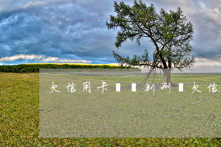 欠信用卡沒還判刑嗎(欠信用卡不還,會坐牢嗎)