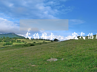 欠信用卡沒還完(欠信用卡錢沒還會怎樣)