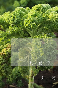 欠信用卡沒還強(qiáng)制執(zhí)行會(huì)抓人嗎-欠信用卡沒還強(qiáng)制執(zhí)行會(huì)抓人嗎知乎
