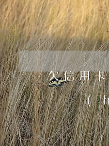 欠信用卡沒還會(huì)抓嗎(欠信用卡不還會(huì)被拘留嗎?)