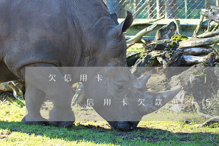 欠信用卡沒還會凍結(jié)所有銀行卡嗎-信用卡欠款低于5萬不予立案