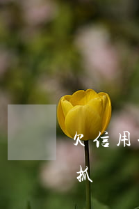 欠信用卡沒還會被凍結嗎(欠信用卡不還會被抓嗎)