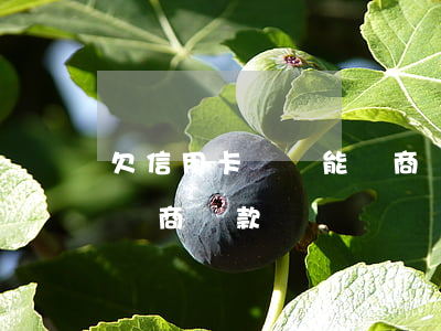 欠信用卡沒還能協商嗎(欠信用卡還不上可以協商還款嗎)