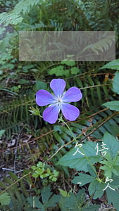 欠信用卡沒還能構(gòu)成刑事案件嗎-欠信用卡沒還能構(gòu)成刑事案件嗎知乎