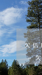 欠信用卡沒還銀行卡會被凍結(jié)嗎-欠信用卡沒還銀行卡會被凍結(jié)嗎怎么解凍
