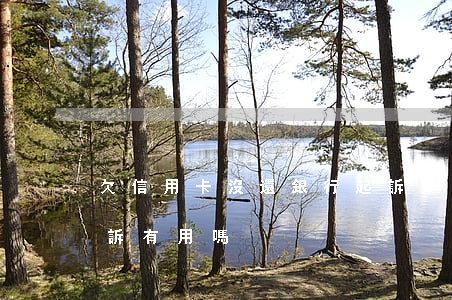 欠信用卡沒還銀行起訴(欠信用卡沒還銀行起訴有用嗎)