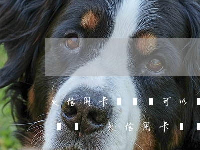 欠信用卡沒錢還可以買養(yǎng)老保險嗎-欠信用卡沒錢還可以買養(yǎng)老保險嗎怎么辦