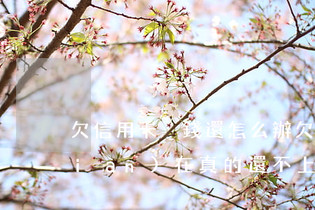 欠信用卡沒錢還怎么辦(欠信用卡的錢現(xiàn)在真的還不上怎么辦)