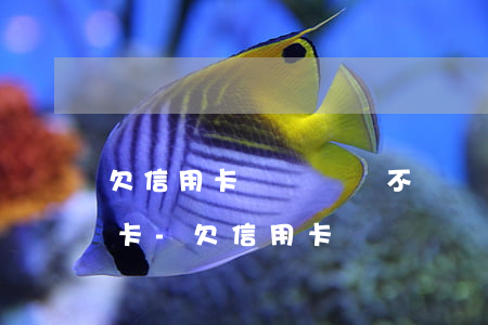 欠信用卡沒錢還會不會凍結(jié)銀行卡-欠信用卡沒錢還會不會凍結(jié)銀行卡呢