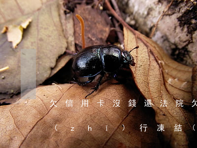欠信用卡沒錢還法院(欠信用卡沒錢還法院執(zhí)行凍結(jié)銀行卡)
