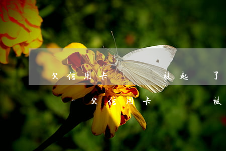 欠信用卡沒錢還被起訴了會(huì)坐牢嗎-欠信用卡沒錢還被起訴了會(huì)坐牢嗎知乎