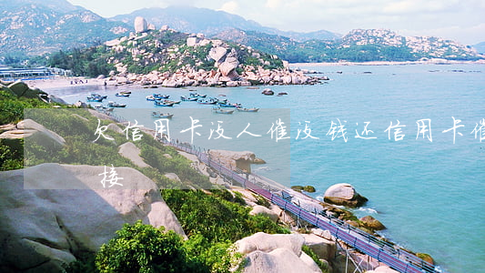 欠信用卡没人催(没钱还信用卡催收电话怎么接)