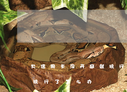 欠信用卡没开庭就执行-欠信用卡没开庭就执行了怎么办