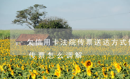 欠信用卡法院传票送达方式（信用卡逾期收到传票怎么调解）