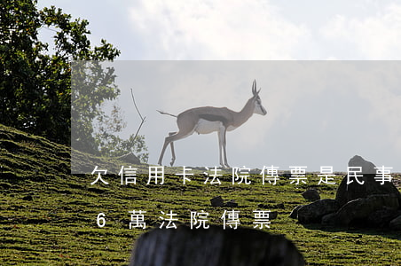 欠信用卡法院傳票是民事還是刑事（信用卡欠6萬法院傳票）