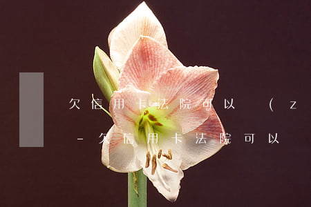 欠信用卡法院可以執(zhí)行宅基地嗎-欠信用卡法院可以執(zhí)行宅基地嗎怎么執(zhí)行
