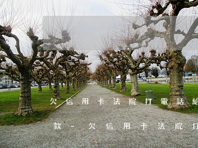 欠信用卡法院打電話給我協(xié)商還款-欠信用卡法院打電話給我協(xié)商還款是真的嗎