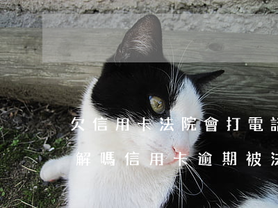 欠信用卡法院會打電話過來調(diào)解嗎（信用卡逾期被法院通知了）