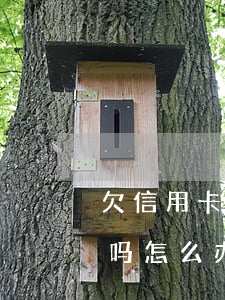欠信用卡派出所会抓吗(欠信用卡派出所会抓吗怎么办)