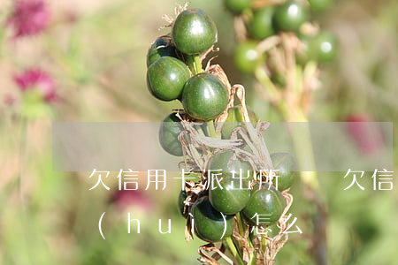 欠信用卡派出所來電(欠信用卡派出所來電會(huì)怎么樣)