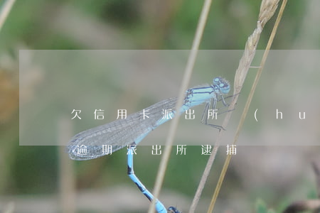 欠信用卡派出所會(huì)拘留嗎（信用卡逾期派出所逮捕嗎）