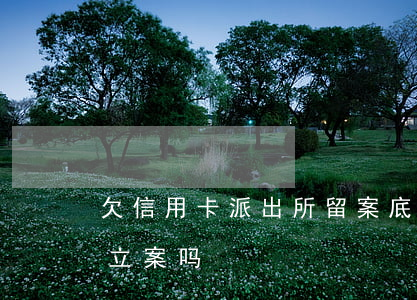 欠信用卡派出所留案底(欠信用卡会去派出所立案吗)