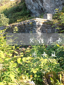 欠信用卡海外賬戶凍結(jié)(在國外信用卡被凍結(jié)了怎么辦)