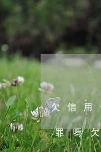 欠信用卡涉嫌經(jīng)濟(jì)犯罪嗎（欠信用卡涉嫌經(jīng)濟(jì)犯罪）