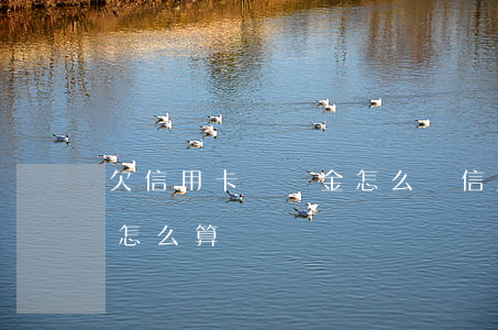 欠信用卡滯納金怎么辦(信用逾期滯納金利息怎么算)