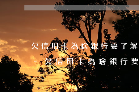 欠信用卡為啥銀行要了解負(fù)債情況-欠信用卡為啥銀行要了解負(fù)債情況呢