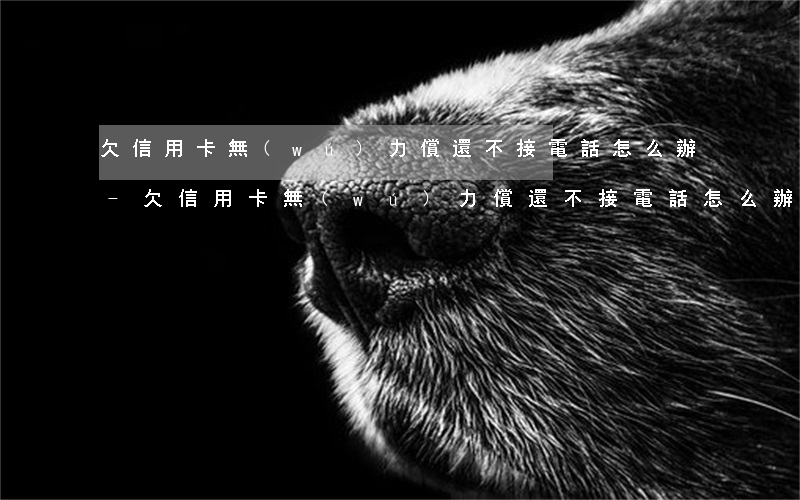 欠信用卡無(wú)力償還不接電話怎么辦-欠信用卡無(wú)力償還不接電話怎么辦呢
