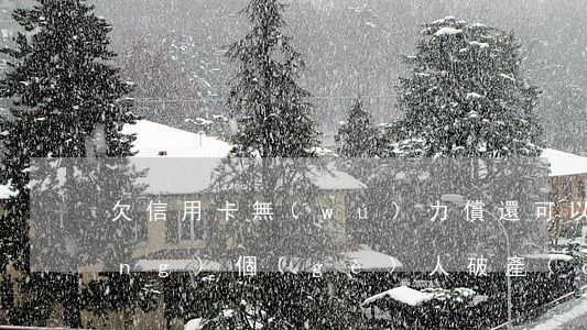 欠信用卡無(wú)力償還可以申請(qǐng)個(gè)人破產(chǎn)嗎-欠信用卡無(wú)力償還可以申請(qǐng)個(gè)人破產(chǎn)嗎知乎