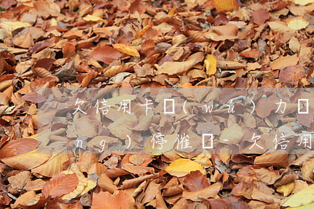 欠信用卡無(wú)力償還可以申請(qǐng)停催嗎-欠信用卡的錢(qián)無(wú)力償還可以辦理停息掛賬嗎