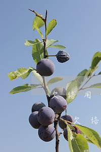 欠信用卡無(wú)力償還總給家人打電話-欠信用卡無(wú)力償還總給家人打電話怎么辦