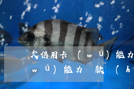 欠信用卡無(wú)能力還款(欠信用卡無(wú)能力還款會(huì)怎么樣)