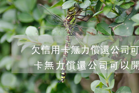 欠信用卡無力償還公司可以開除嗎-欠信用卡無力償還公司可以開除嗎怎么辦