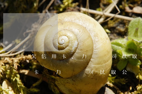 欠信用卡無力償還可以取公積金嗎-欠信用卡無力償還可以取公積金嗎