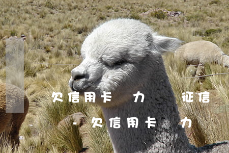 欠信用卡無力償還征信會(huì)黑名單嗎-欠信用卡無力償還征信會(huì)黑名單嗎怎么辦
