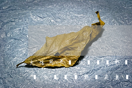 欠信用卡無力償還會影響夫妻嗎-欠信用卡無力償還會影響夫妻嗎知乎