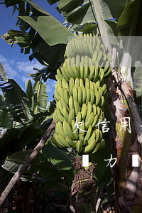 欠信用卡無力償還會有什么影響-欠信用卡無力償還會有什么影響嗎