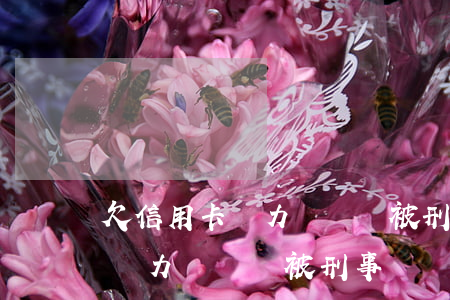 欠信用卡無力償還會被刑事處罰-欠信用卡無力償還會被刑事處罰嗎