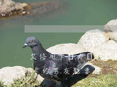 欠信用卡無力償還會被男友嫌棄嗎-欠信用卡的男友能要嗎