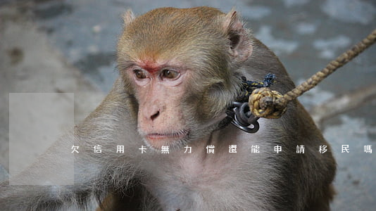 欠信用卡無力償還能申請移民嗎-