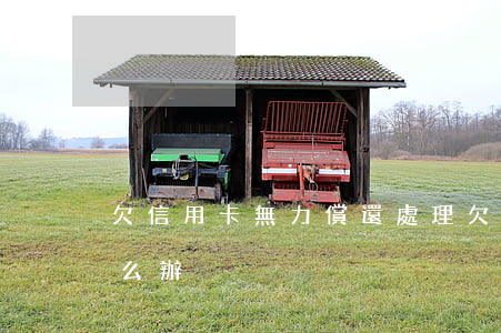 欠信用卡無力償還處理(欠信用卡無力償還怎么辦)